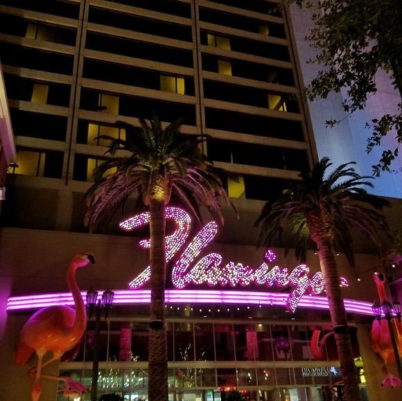 Meet your Posher, Dawn - Picture 1 of 1